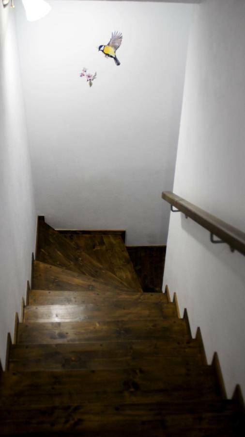 Anemona'S House In The Center Of Sibiu Vila Exterior foto
